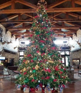Y O Ranch Hotel And Conference Center Kerrville Habitación foto